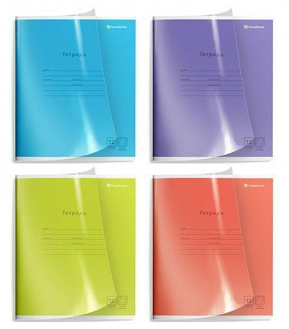 Тетрадь А5 12л. кос. линия "Кристалл" пластик облистер (Schoolformat)