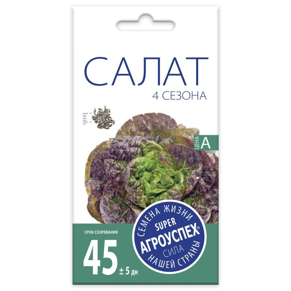Салат 4 Сезона, семена Агроуспех 0,5г (400)