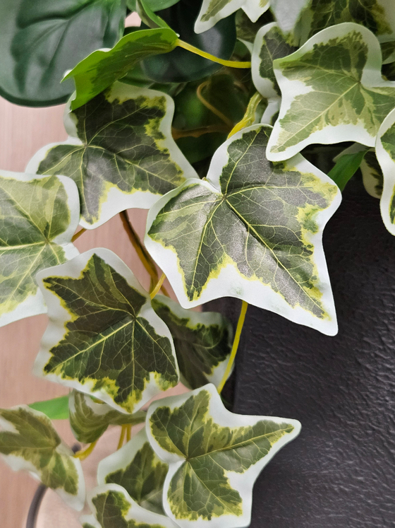 Композиция Сюрприз в кашпо