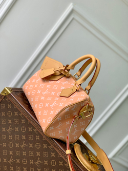 Louis Vuitton Speedy P9 Bandouliere 25