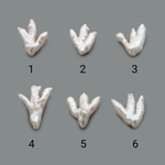 Жемчуг культивированный в форме коралловой веточки, белый, 22-31мм