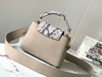 Louis Vuitton Capucines Mini