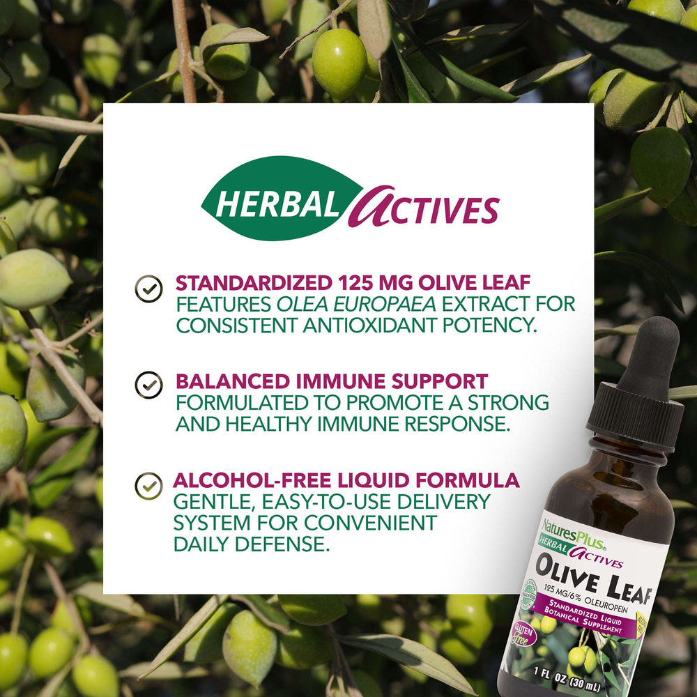 NaturesPlus, Herbal Actives, листья оливкового дерева, без спирта, 30 мл (1 жидк. унция)