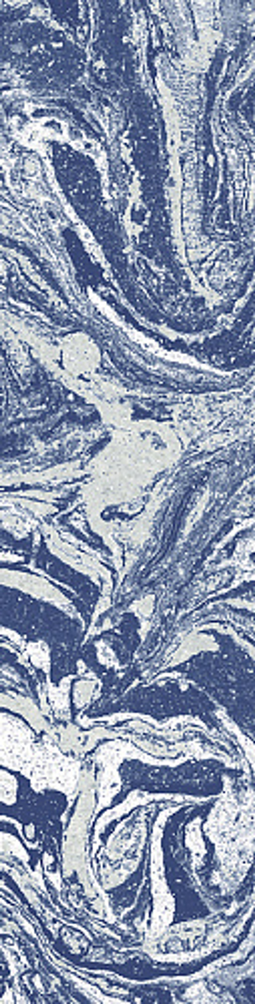 Керамогранит ARCANA SPUMA Mirtillo 8x31,5 8 мм. ARC_85E2