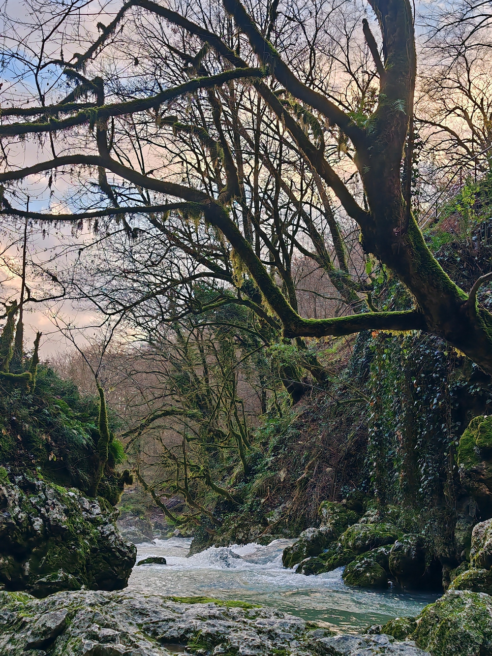 Много данных старая