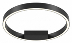 Накладной светильник Maytoni Rim MOD058CL-L25BK