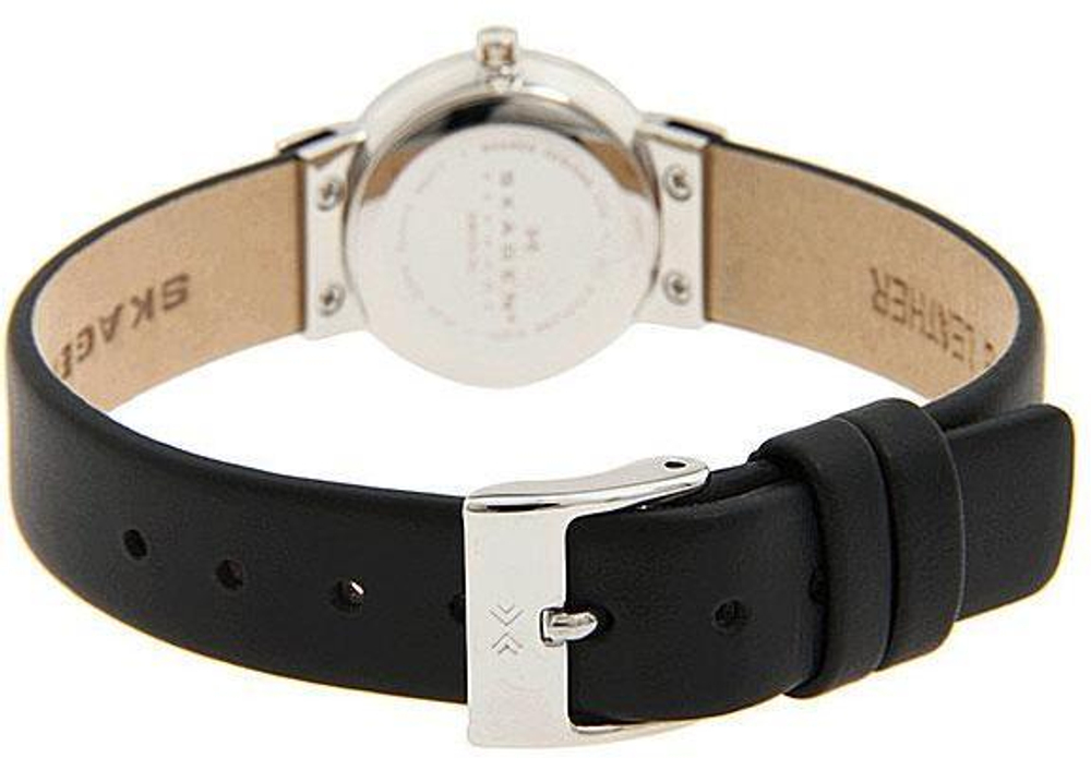 Женские наручные часы Skagen 358XSSLBC