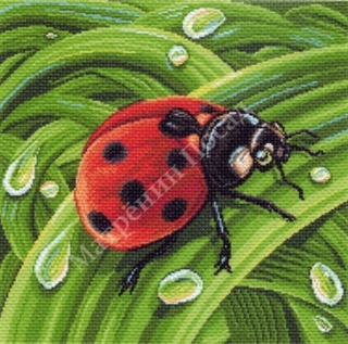 "Божья коровка"-1383 канва с рисунком