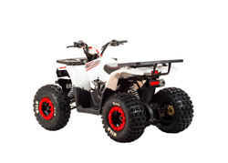 Квадроцикл MOTOLAND 125 Wild