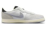 Кроссовки Nike Terminator Low "Phantom"