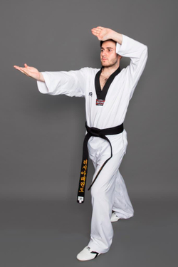 Добок WT ProfSport Light Style Dan