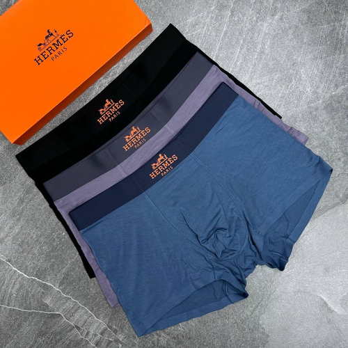Боксеры Hermes