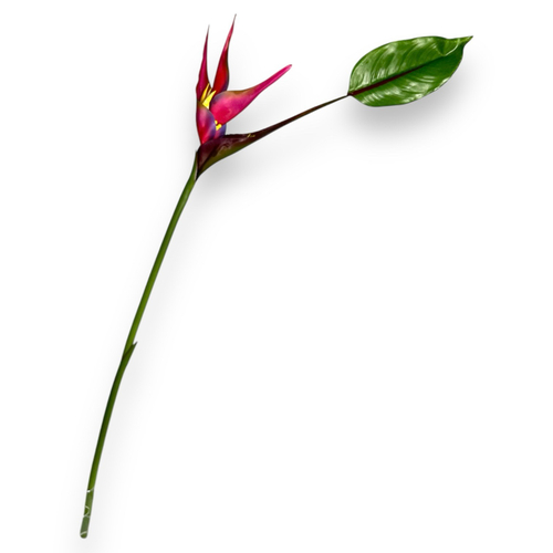 Цветок стрелиции розовый с листом малый