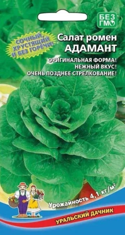 Салат семена зеленый