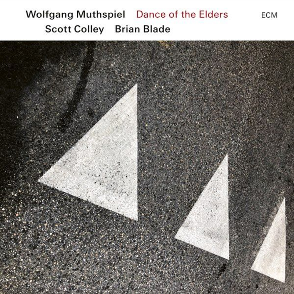 Wolfgang Muthspiel - Dance Of The Elders (ECM) новая виниловая пластинка