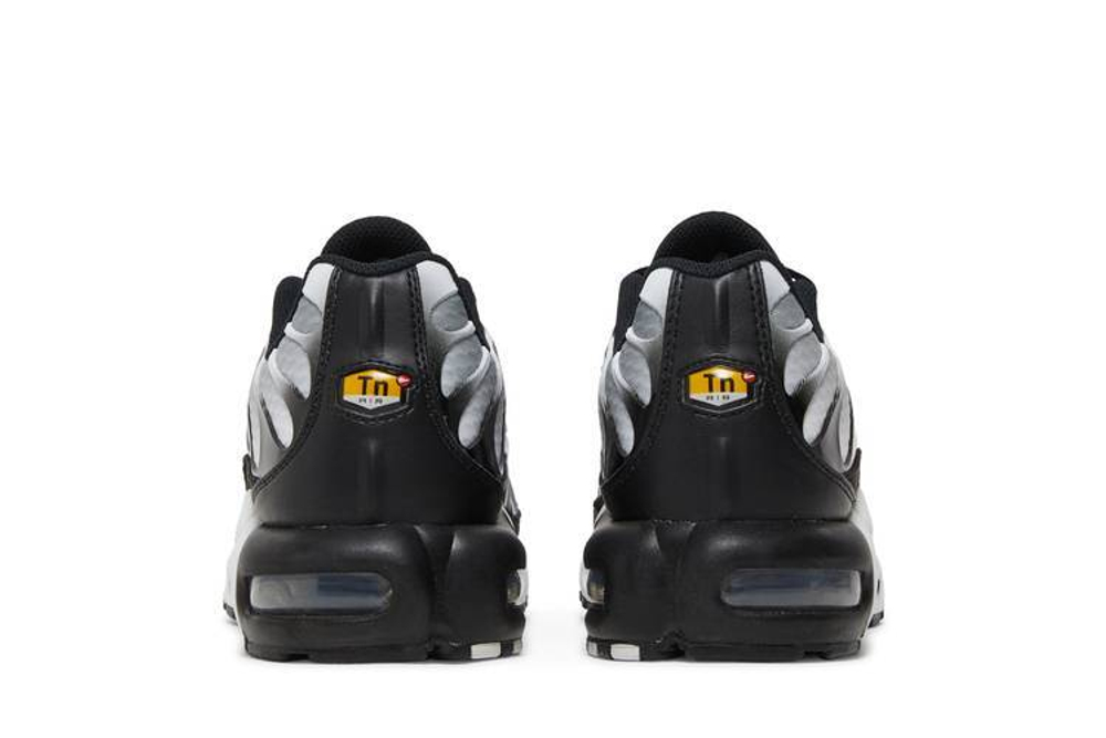 Кроссовки Nike Air Max Plus