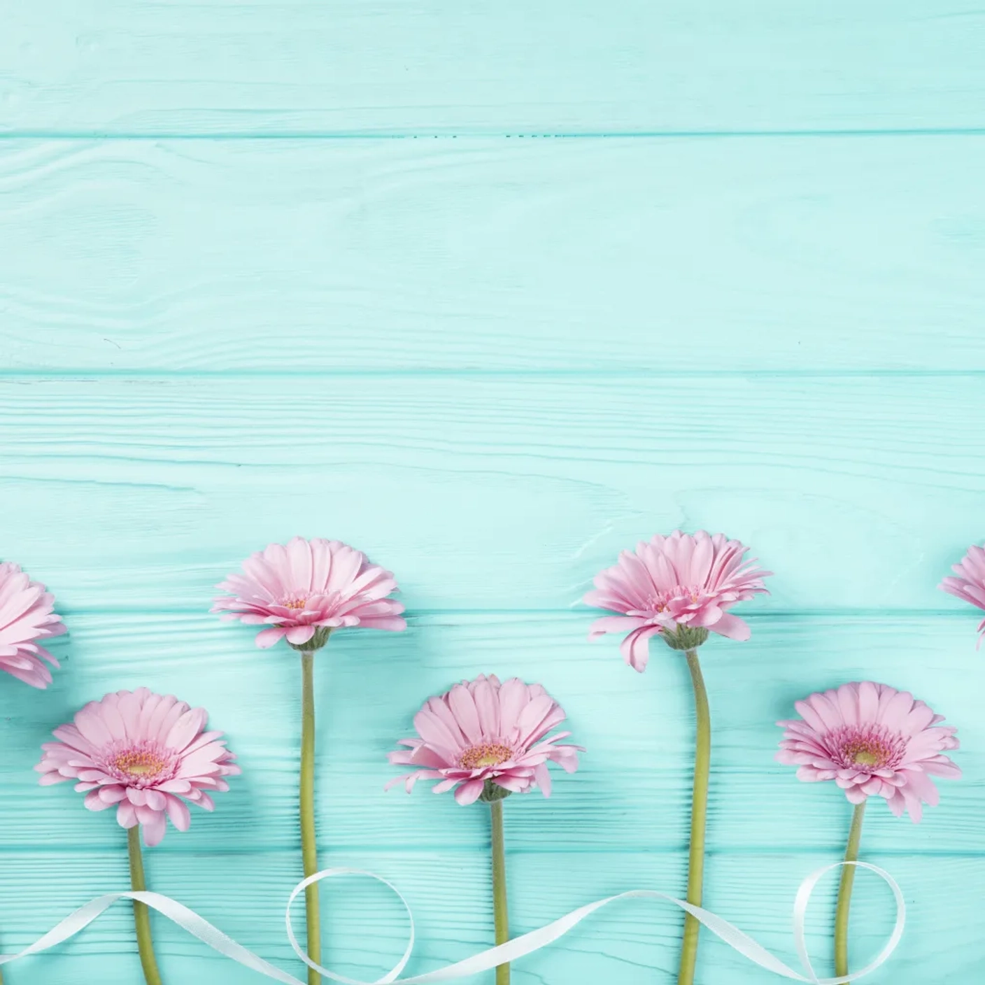 Пятая новость магазина