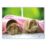 Пазл 150эл. Кролики (Pintoo)