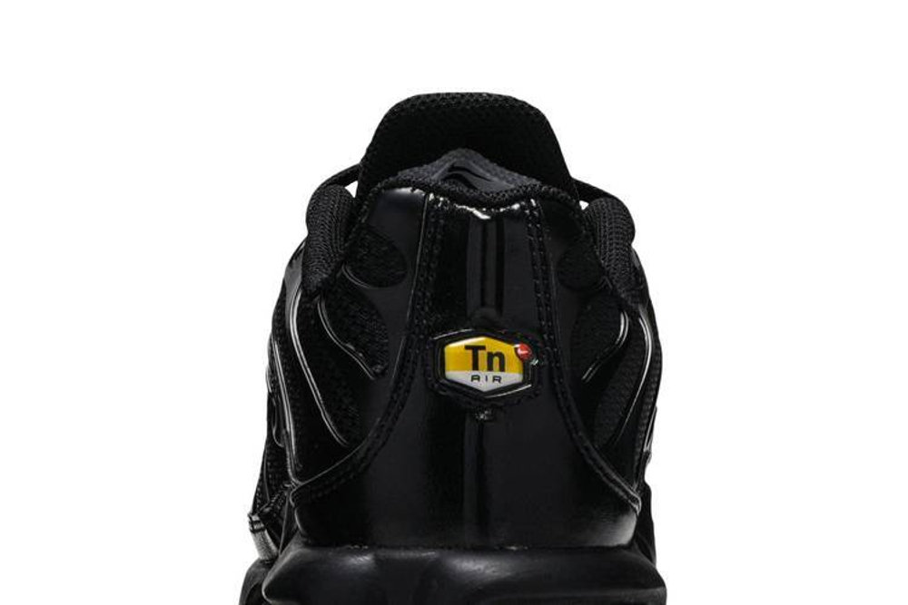 Кроссовки Nike Air Max Plus