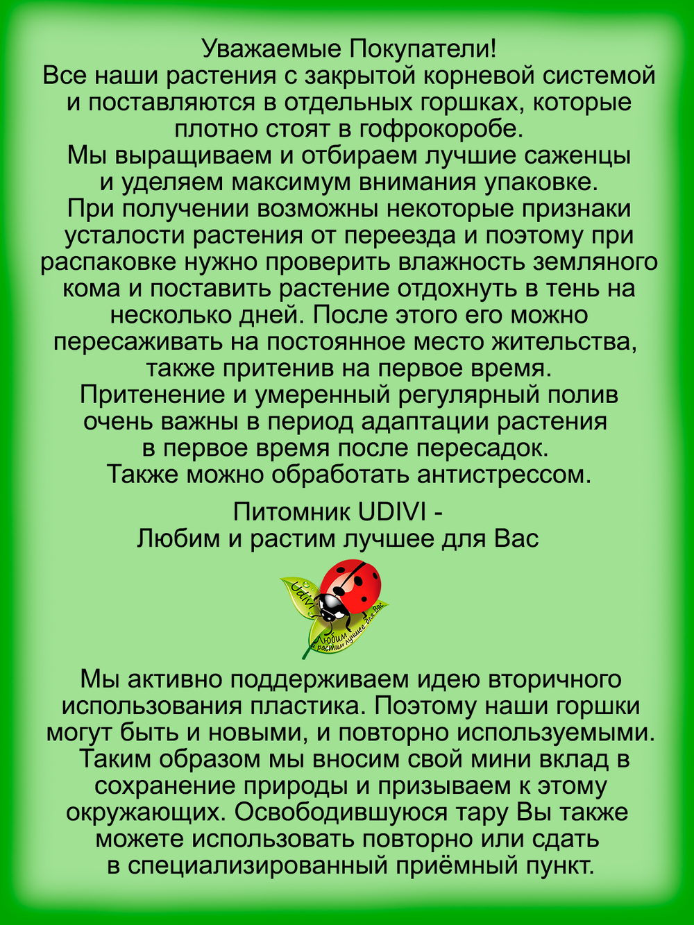 Пеларгония розебудная Дениз