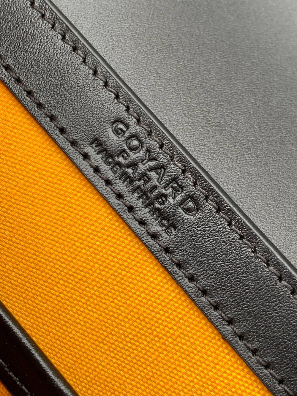 Goyard Saigon Mini Trunk Bag