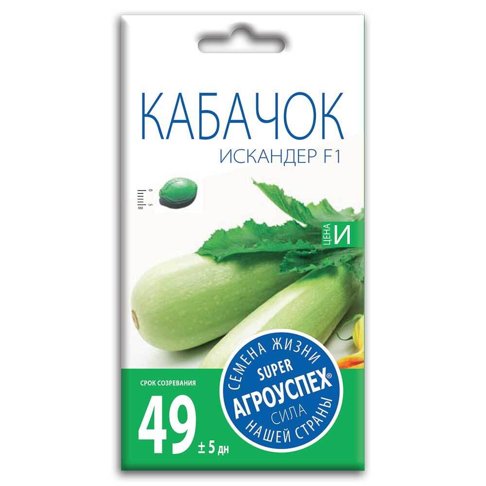 kabachok_iskander_f1_semena_agrouspekh_5sht
