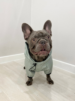 Универсальная куртка дождевик для собак Монморанси, цвет олива, размер L