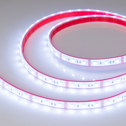 Лента светодиодная Arlight 033790
