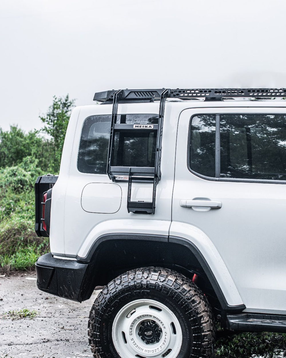 Боковая лестница Hi4-T для Tank 300