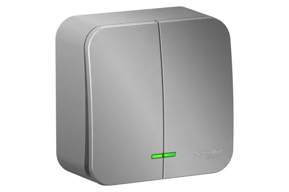 Выключатель Systeme Electric BLANCA 2 клавиши с индикатором накладной алюминий 30863