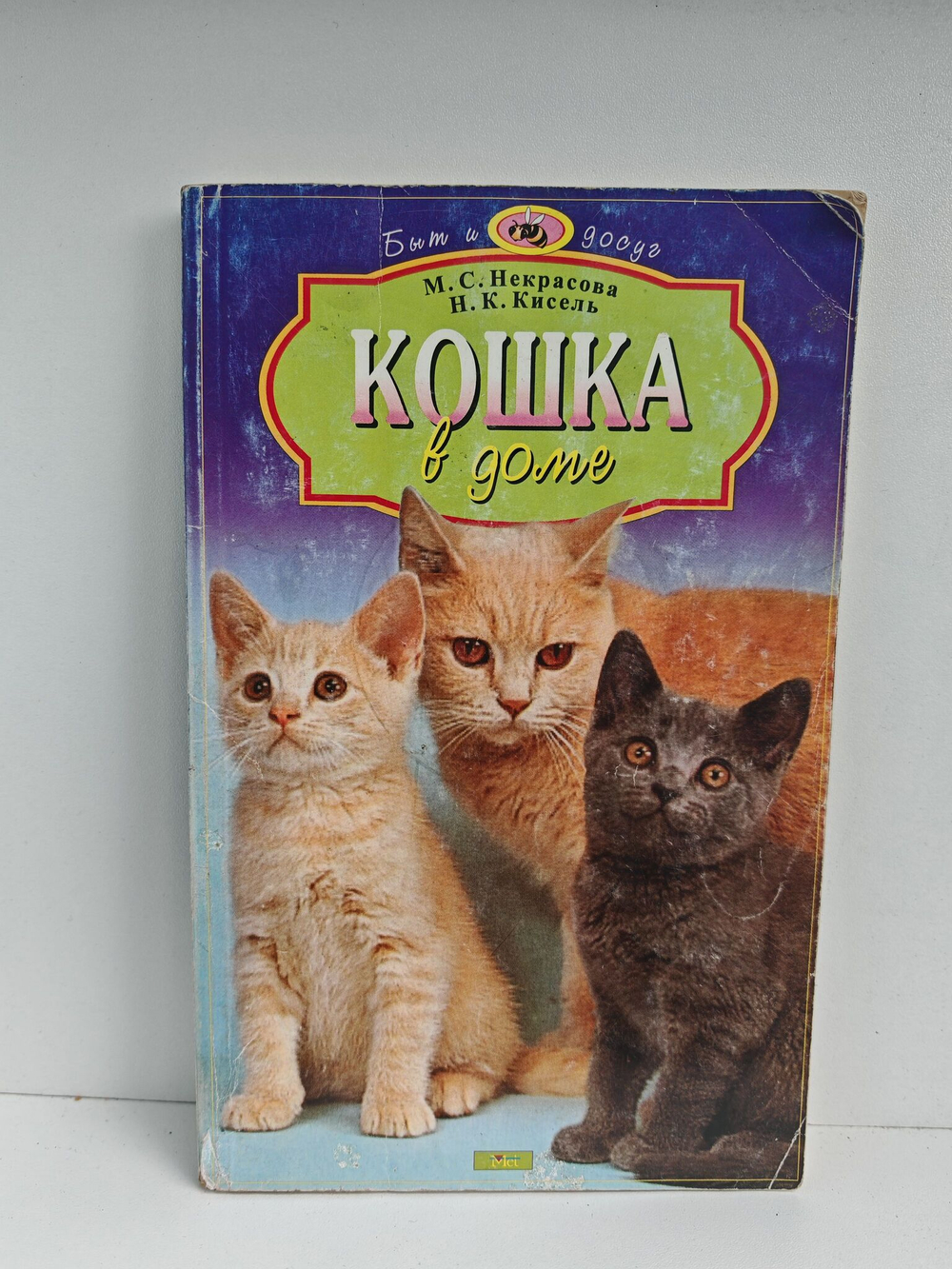 Кошка в доме