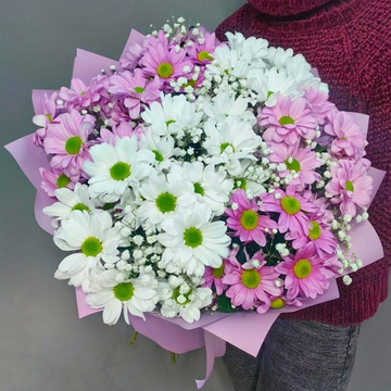 Букет из 7 хризантем "KENNEDY WHITE "и "KENNEDY ROSY"