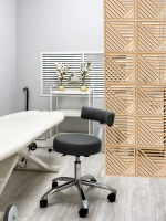 Ширма перегородка для зонирования