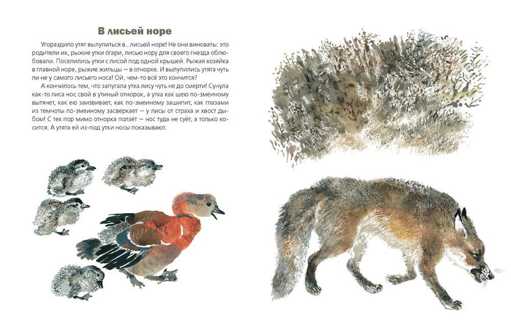 С днём Рождения!