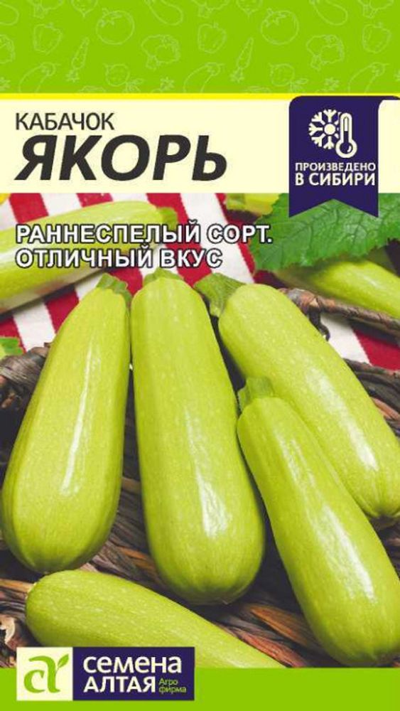 Кабачок &quot;G. Якорь&quot; 2г., Россия.