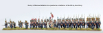 Napoleonic Duchy of Warsaw Infantry Battalion 1807-141807-14