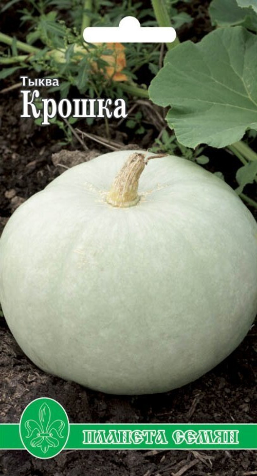 Тыква Крошка