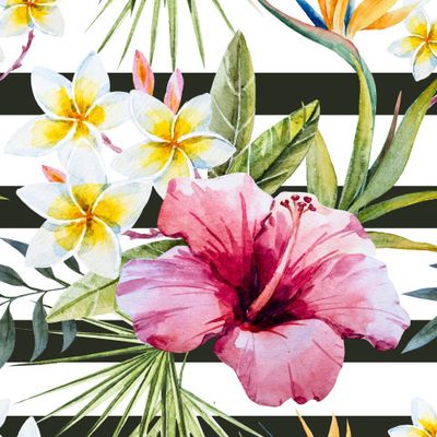 Тропики и полоска