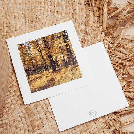 Открытка "Составишь компанию?" 🏷