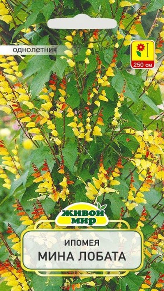 Ипомея &quot;Mинa лoбaтa&quot; 0,15г., Германия.