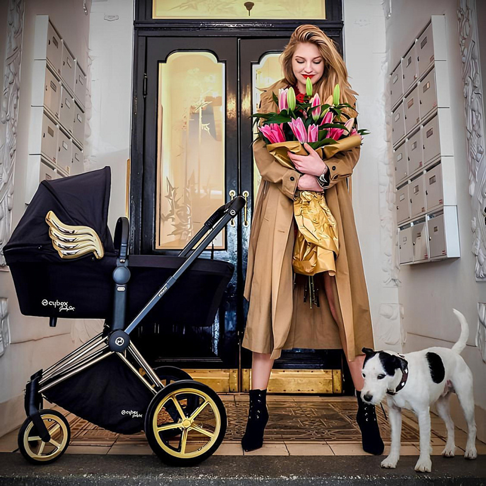 Коляска 2 в 1 Cybex Priam IV 2 в 1 Jeremy Scott Wings