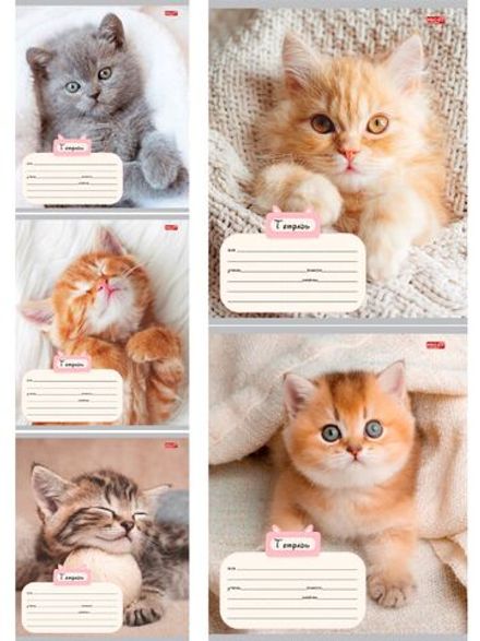 Тетрадь 18л, клетка, Проф-Пресс Котик и уют,ассорти, 1шт.