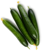 Огурцы среднеплодные