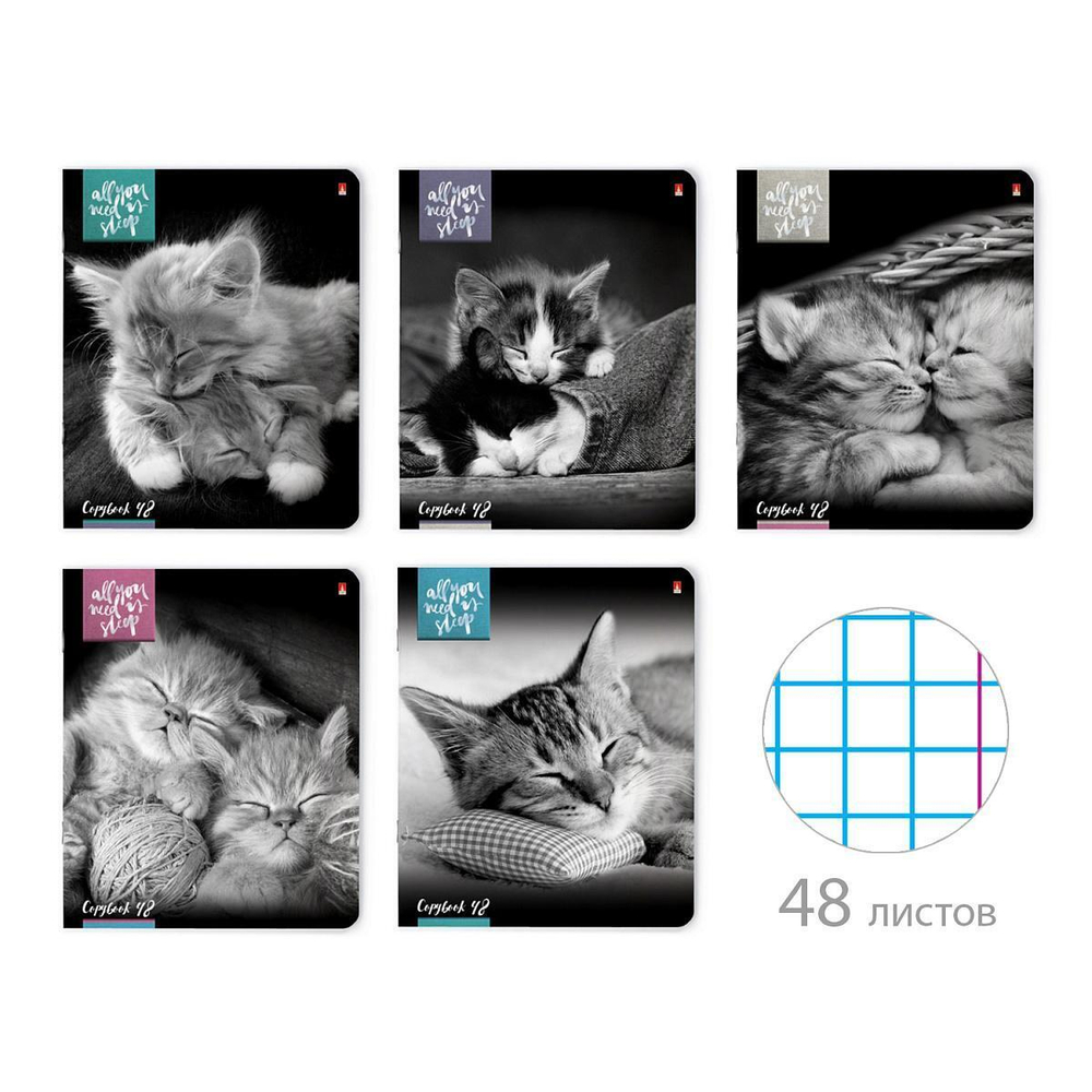 Тетрадь 48л. "Котята "Мур-Мур" (Альт)