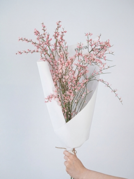 Монобукет Гениста Pink