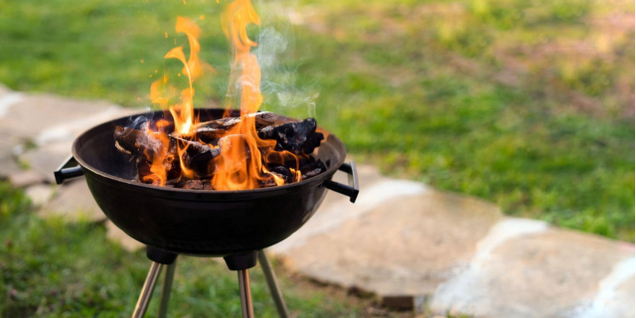 Преимущества использования древесного угля для мангала