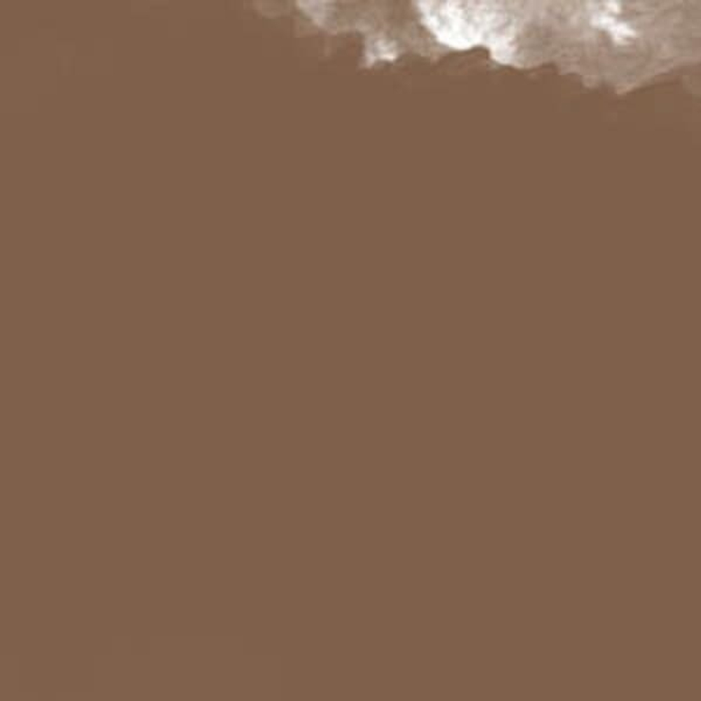 Пастель масляная мягкая MUNGYO Gallery #309 Коричневый Пастельный