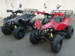 Электроквадроцикл Green Camel Атакама T500 (60V 1500W R8 Дифференциал)