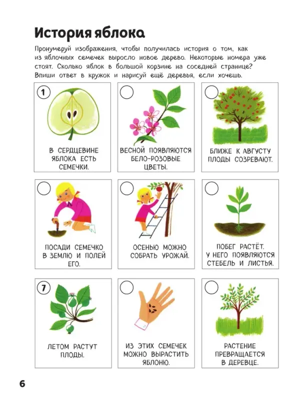 Природа. Книга игр и более 100 наклеек