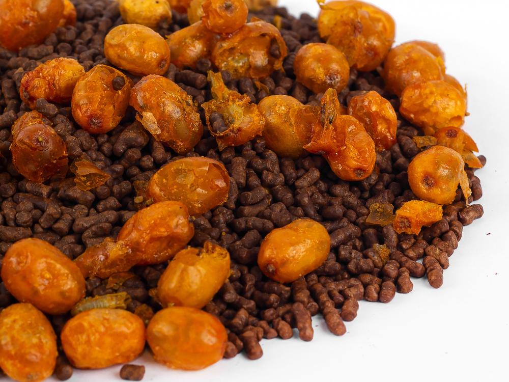 592152D Чай гречишный  БАЗОВАЯ коллекция "Облепиховый"